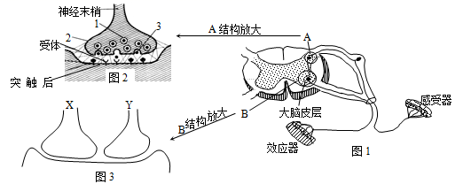 图片_x0020_801368589