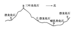图片_x0020_100017
