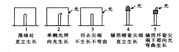 图片_x0020_100013