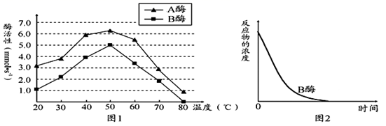 图片_x0020_100007