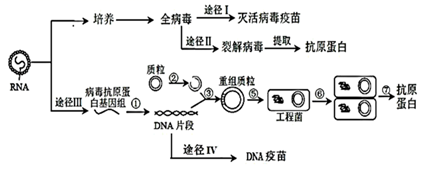 图片_x0020_100020