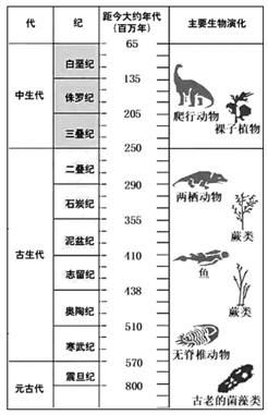 图片_x0020_100002