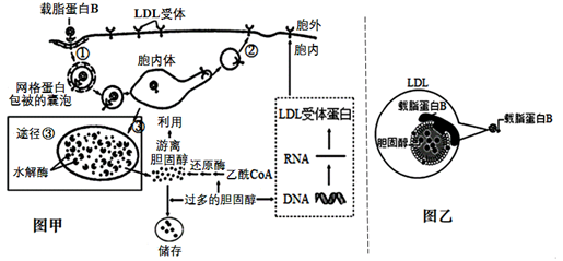 图片_x0020_1878731096