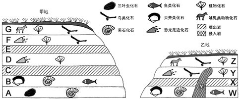 图片_x0020_100015