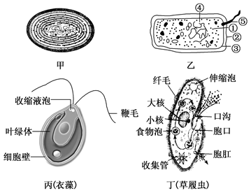 图片_x0020_100016