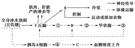 图片_x0020_100030