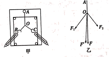 图片_x0020_100017