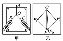 图片_x0020_100012