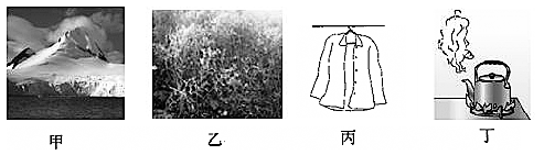 图片_x0020_100021