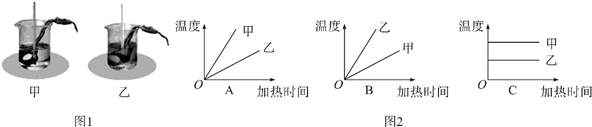 图片_x0020_100020