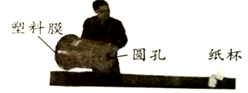 图片_x0020_100017