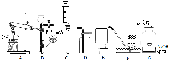 图片_x0020_100028