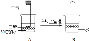 图片_x0020_701196837