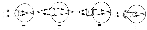 图片_x0020_100010
