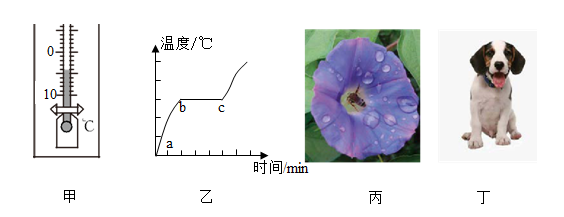 图片_x0020_427357397