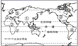 图片_x0020_100013