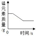 图片_x0020_100015