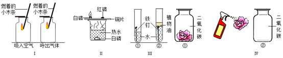 图片_x0020_307273229