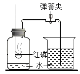 图片_x0020_100011