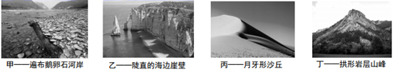 图片_x0020_1240884705