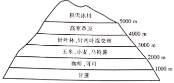 图片_x0020_100011