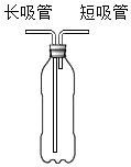 图片_x0020_100015