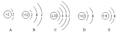 图片_x0020_100020