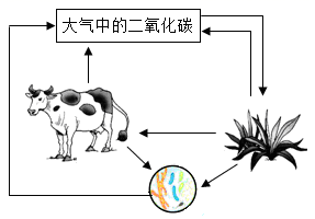 图片_x0020_100023