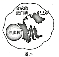 图片_x0020_100018