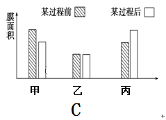 图片_x0020_100020