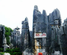 图片_x0020_1010619221