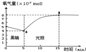 图片_x0020_1009958885