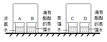 图片_x0020_1964520291