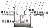 图片_x0020_100001