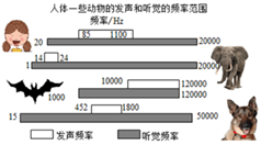 图片_x0020_100002