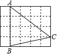 图片_x0020_100008
