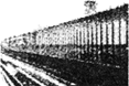图片_x0020_100004