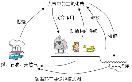 图片_x0020_161892058