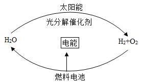 图片_x0020_1021534427