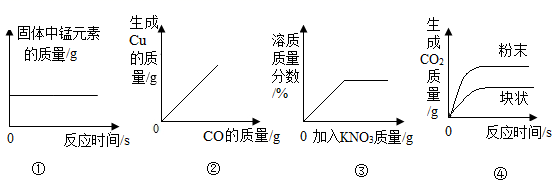 图片_x0020_100011