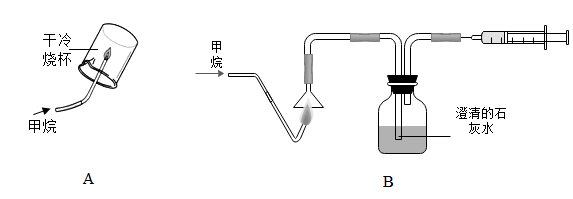 图片_x0020_1591294991