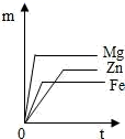 图片_x0020_100008