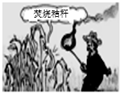 图片_x0020_100016