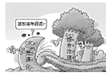 图片_x0020_100001