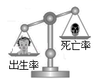 图片_x0020_146585710