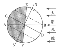 图片_x0020_100012