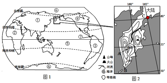 图片_x0020_1197368181