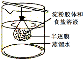 图片_x0020_100001