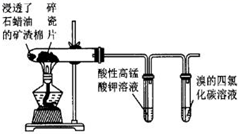 图片_x0020_100002