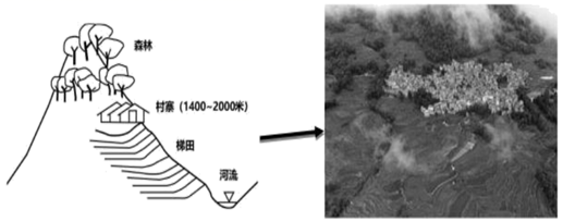 图片_x0020_100008